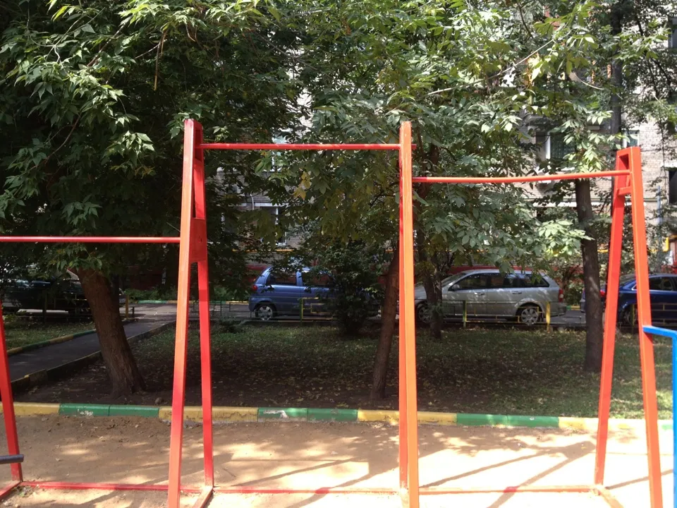 Monkey Bars la Calisthenics Park at Скаковая улица, Москва – fotografia 10 din 10