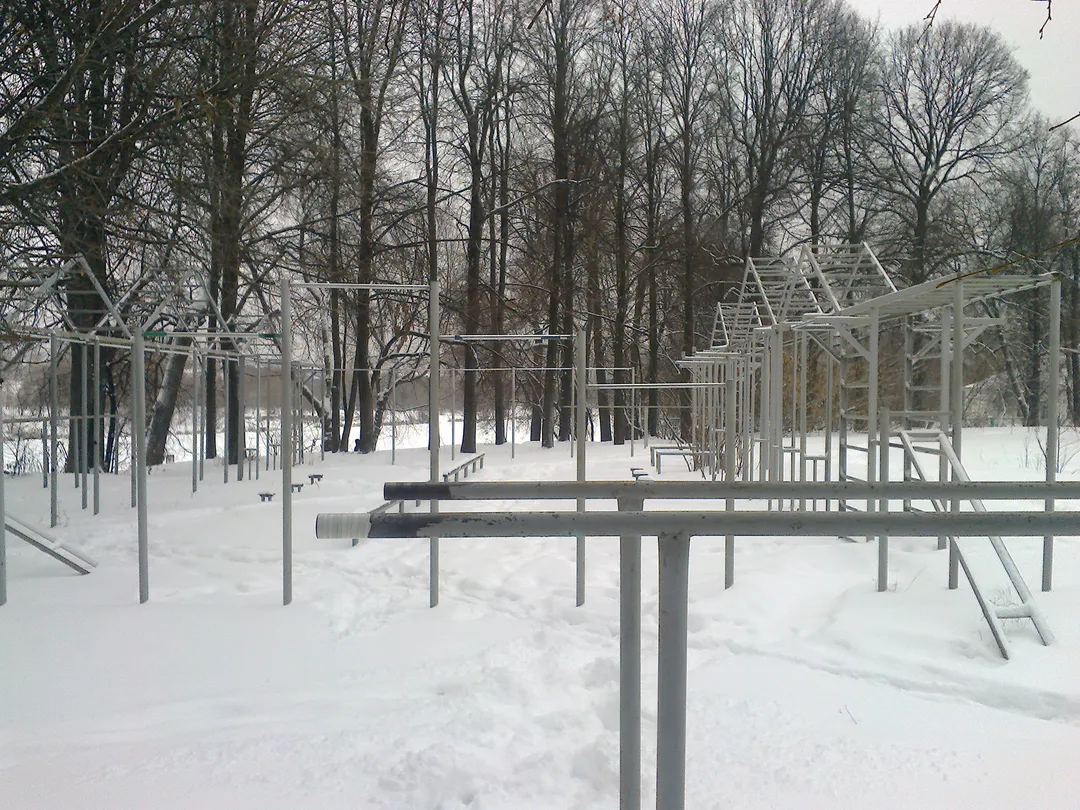 Espalier à Calisthenics Park at Серебряно-Виноградный проезд, Москва #wp2188 – photo 4 sur 5