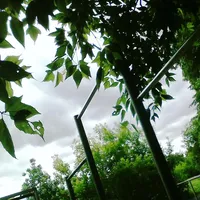 Calisthenics Park at Серебряно-Виноградный проезд, Москва #wp2188 - thumbnail 2