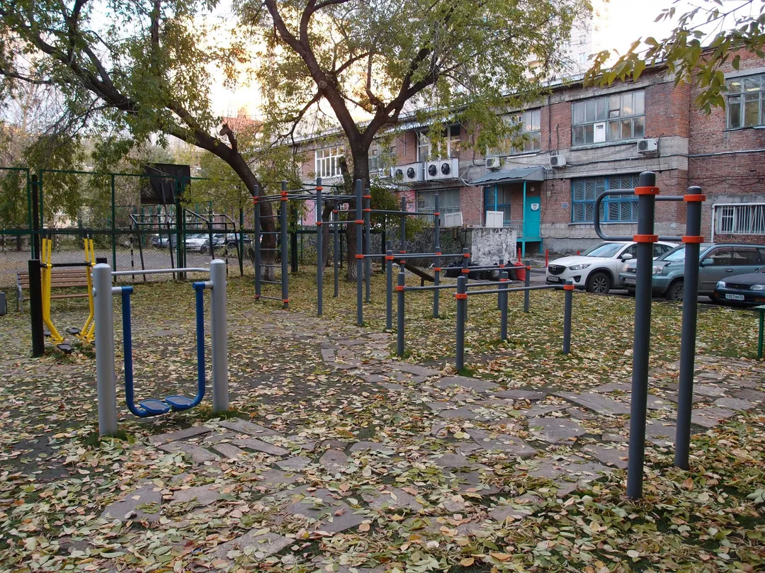 Sbarra per trazioni presso Calisthenics Park at Советская улица, Новосибирск #wp2190 – foto 1 di 3