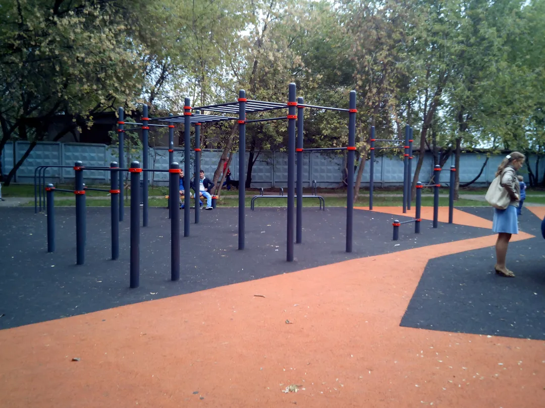 Barres de singe à Calisthenics Park at Путейская улица, Москва – photo 3 sur 5