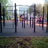 Calisthenics Park at Путейская улица, Москва - thumbnail 1