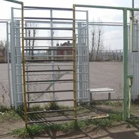 Calisthenics Park at Ледовый дворец, Омск - thumbnail 9
