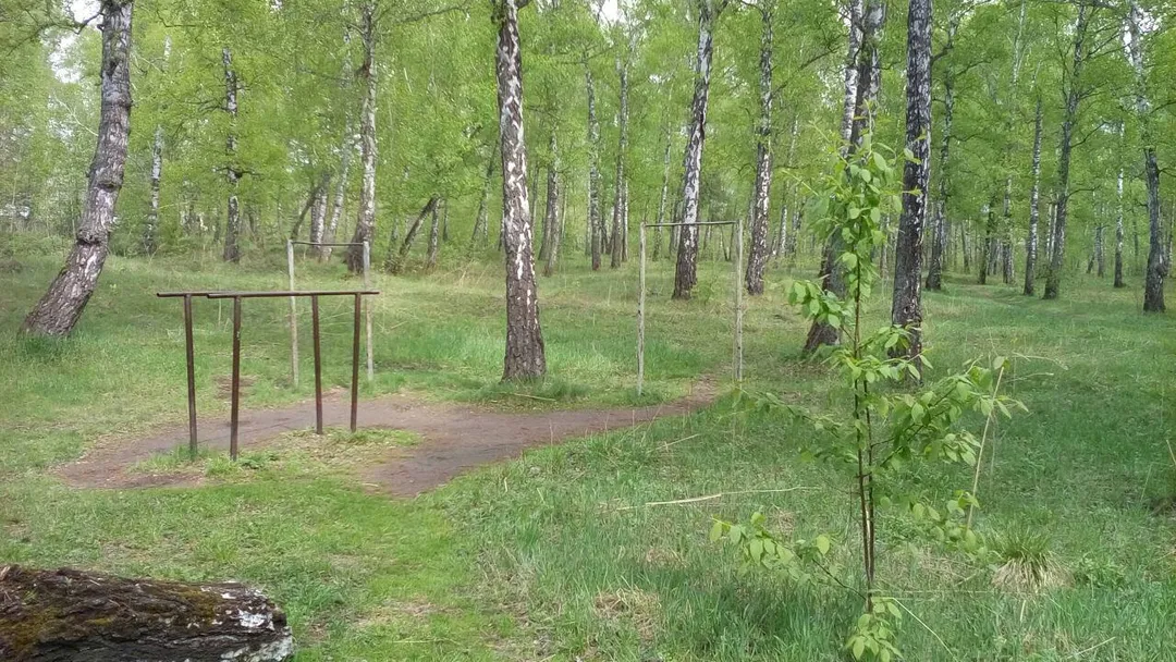 Bară de tracțiuni la Calisthenics Park at Ленинградская улица, Красноярск – fotografia 1 din 1
