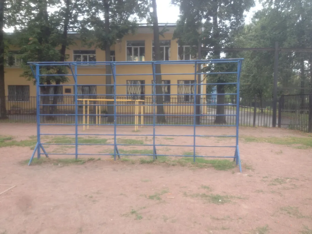 Monkey Bars la Calisthenics Park at проспект Стачек, Санкт-Петербург #wp2205 – fotografia 3 din 6