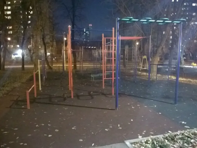 Klimmzugstange bei Calisthenics Park at улица Девятая Рота, Москва – Foto 1 von 6
