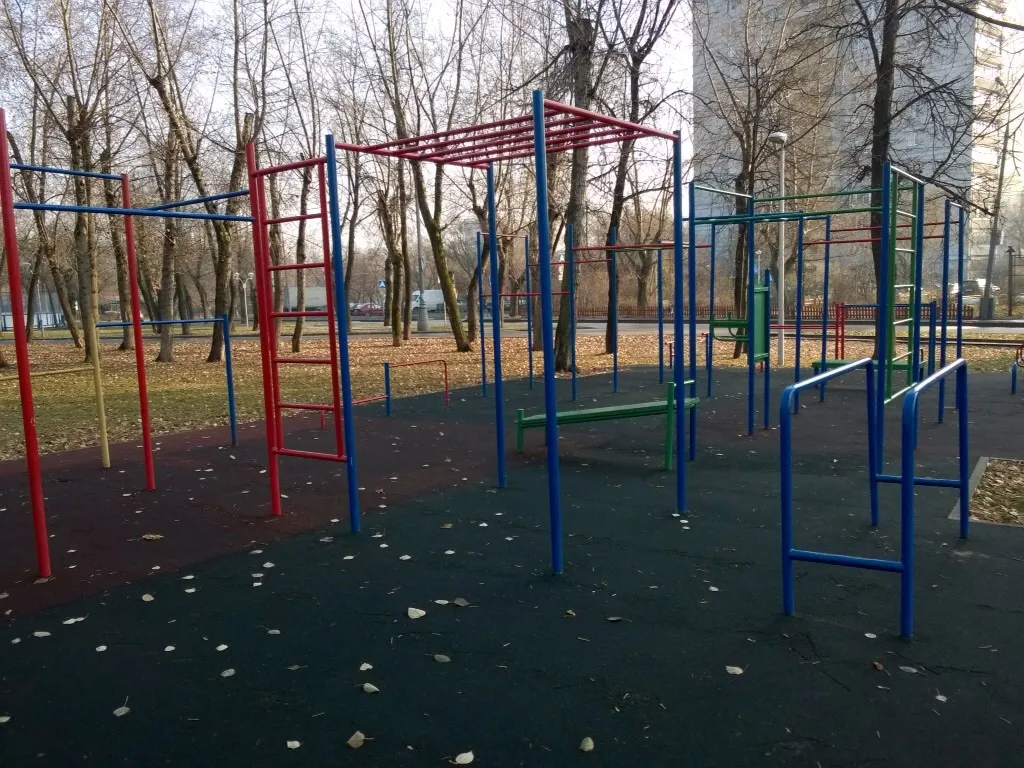 Sprossenwand bei Calisthenics Park at улица Девятая Рота, Москва – Foto 4 von 6