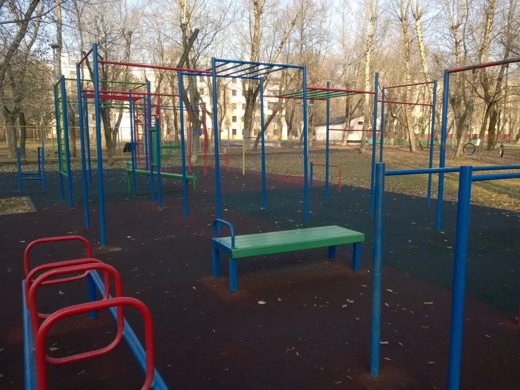 Liegestützgriffe bei Calisthenics Park at улица Девятая Рота, Москва – Foto 6 von 6