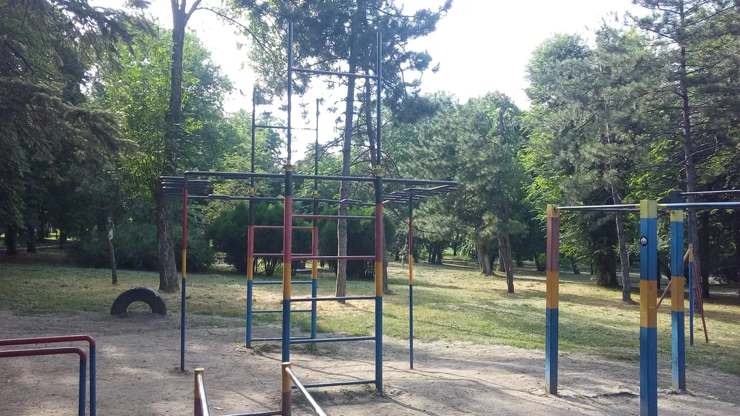 Barras Paralelas en Calisthenics Park at Профсоюзная улица, Ростов-на-Дону – foto 2 de 2