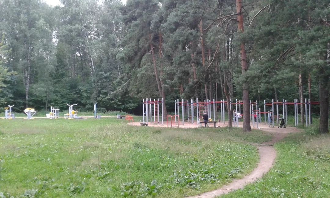 Bare paralele la Calisthenics Park at Первомайский проезд, Москва – fotografia 2 din 4