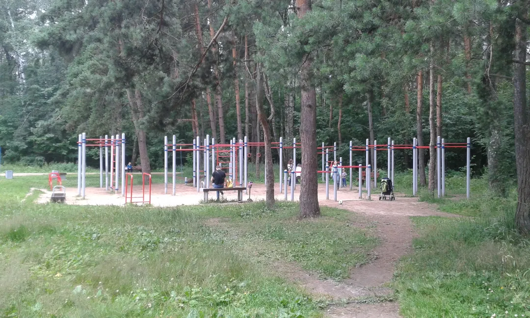 Bară de tracțiuni la Calisthenics Park at Первомайский проезд, Москва – fotografia 1 din 4