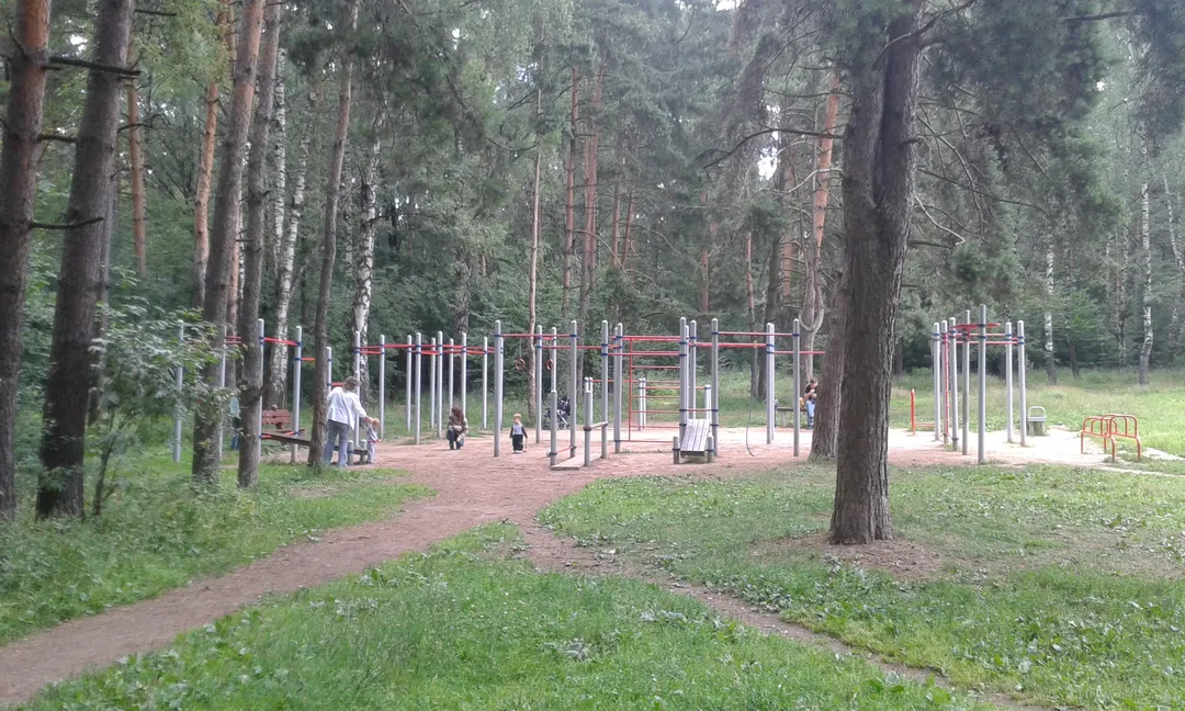Spalier la Calisthenics Park at Первомайский проезд, Москва – fotografia 4 din 4