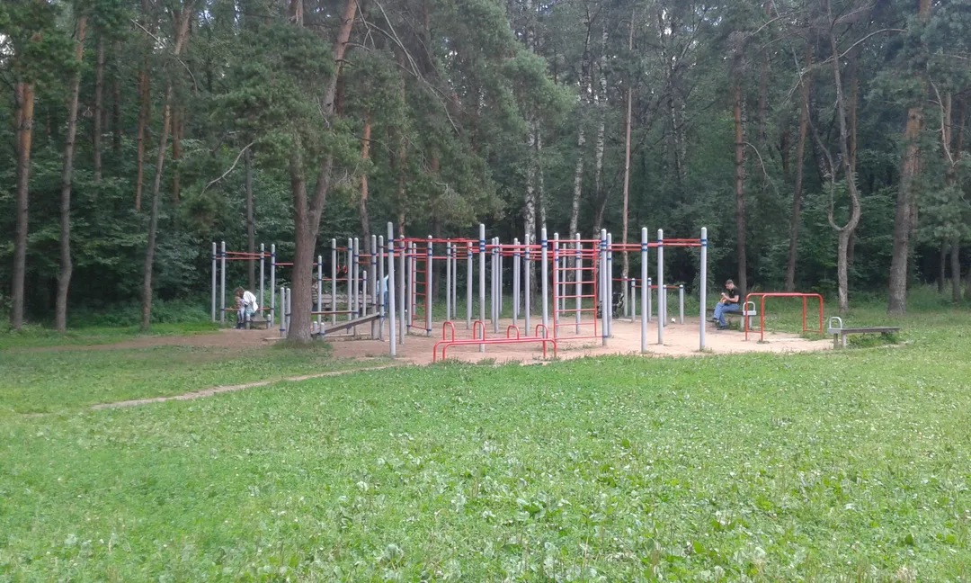 Monkey Bars la Calisthenics Park at Первомайский проезд, Москва – fotografia 3 din 4
