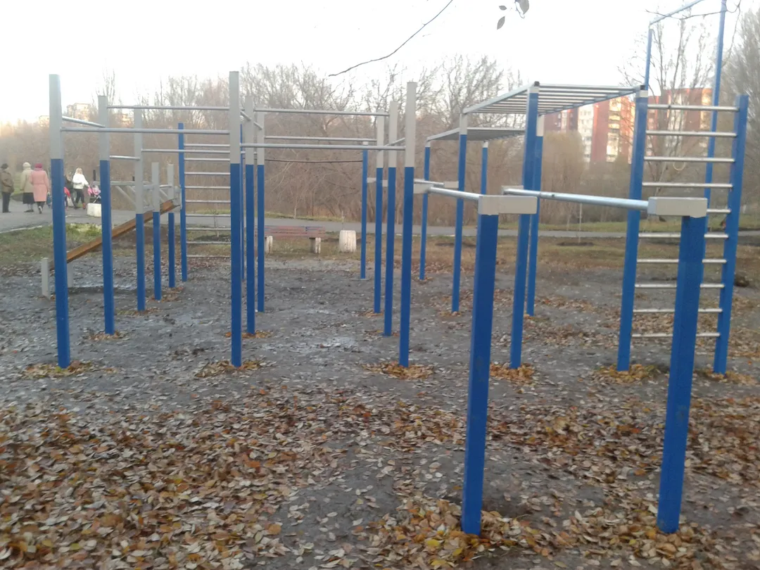 Monkey Bars at Calisthenics Park at Воронежская улица, Самара #wp2215 – photo 3 of 4