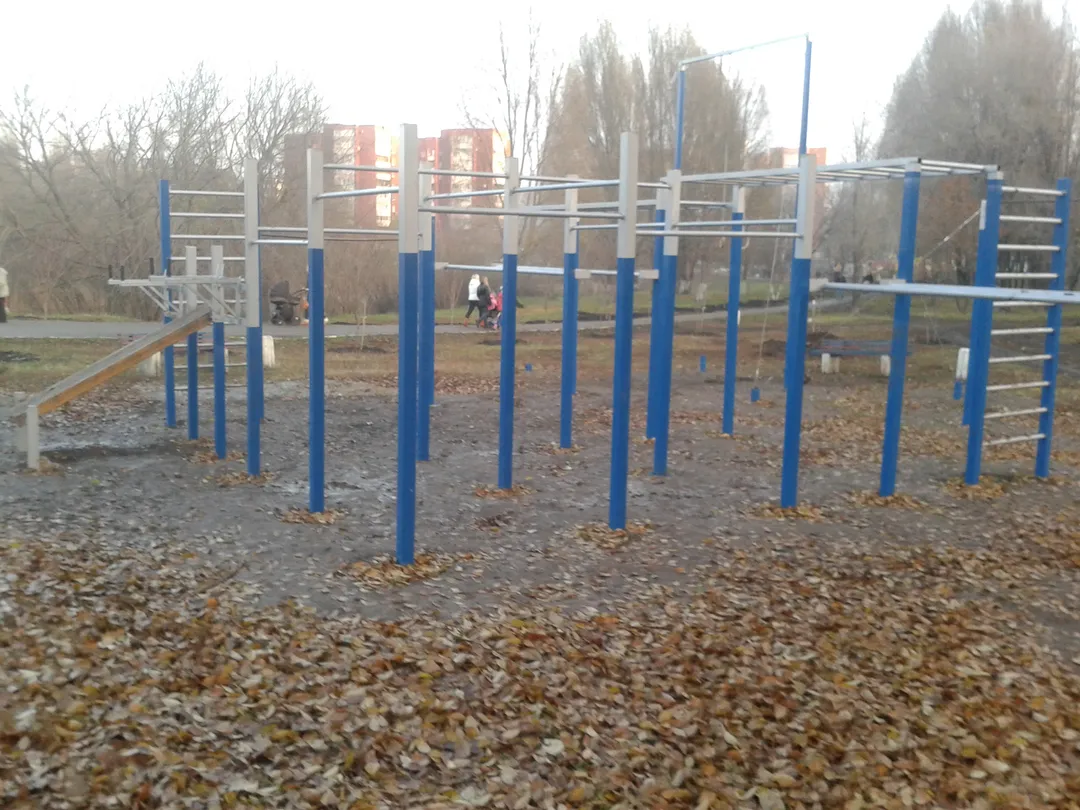 Wall Bars at Calisthenics Park at Воронежская улица, Самара #wp2215 – photo 4 of 4
