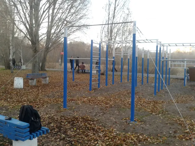 Calisthenics Park at Воронежская улица, Самара #wp2215