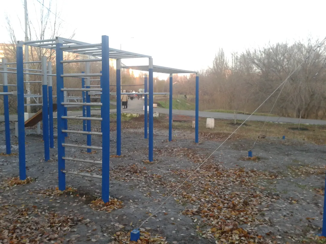 Parallel Gym Bars at Calisthenics Park at Воронежская улица, Самара #wp2215 – photo 2 of 4