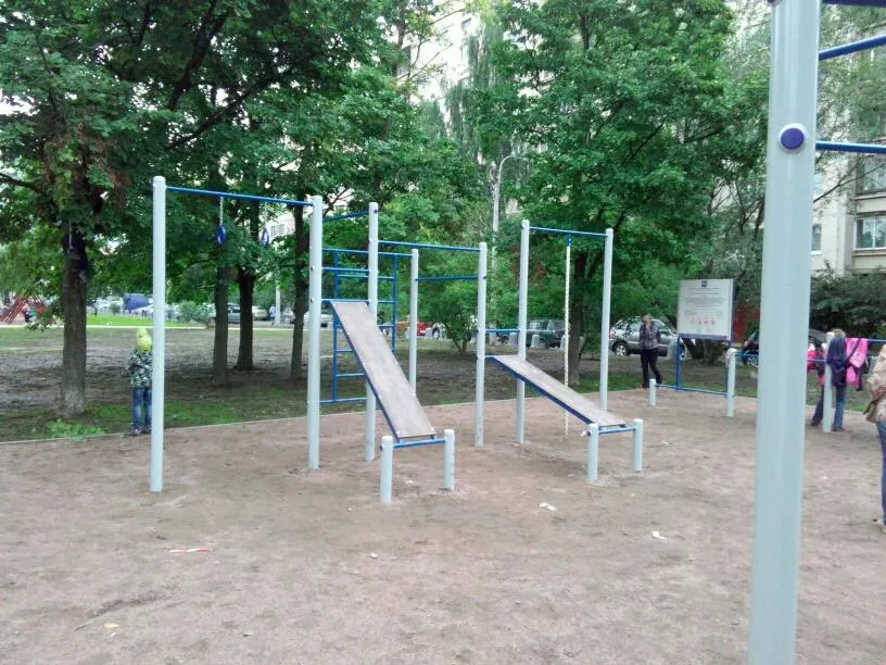 Monkey bar presso Calisthenics Park at проспект Просвещения, Санкт-Петербург – foto 3 di 3
