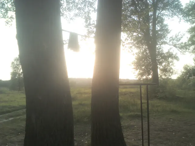 Calisthenics Park at М-03-01, Полтава