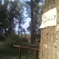 Calisthenics Park at М-03-01, Полтава - thumbnail 2