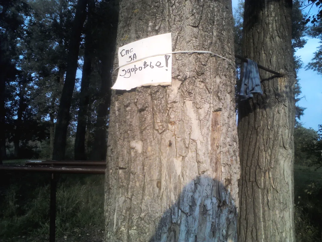 Bară de tracțiuni la Calisthenics Park at М-03-01, Полтава – fotografia 3 din 4