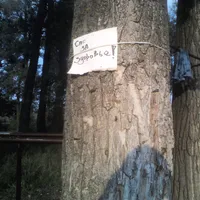 Calisthenics Park at М-03-01, Полтава - thumbnail 3
