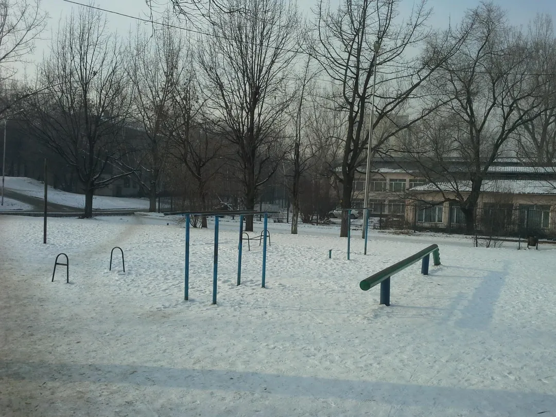 Balance Beam at Calisthenics Park at Қуанышбаев көшесі, Алматы – photo 8 of 12