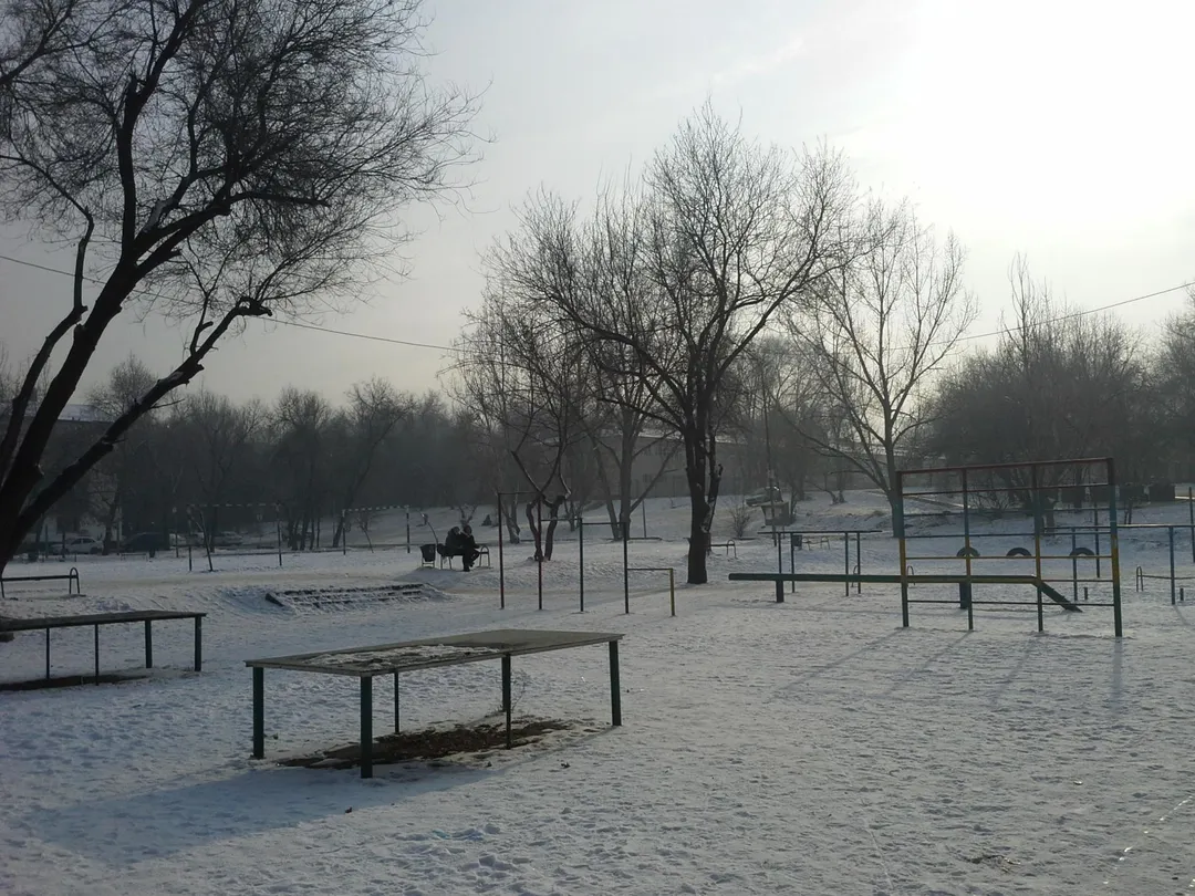 Balance Beam at Calisthenics Park at Қуанышбаев көшесі, Алматы – photo 4 of 12