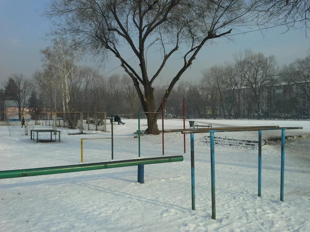 Wall Bars at Calisthenics Park at Қуанышбаев көшесі, Алматы – photo 11 of 12