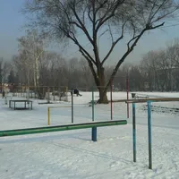 Calisthenics Park at Қуанышбаев көшесі, Алматы - thumbnail 11