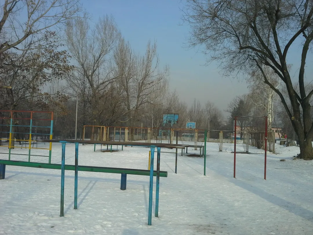 Pull Up Bar at Calisthenics Park at Қуанышбаев көшесі, Алматы – photo 9 of 12