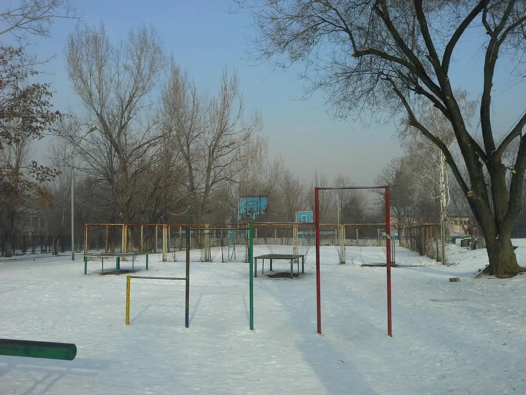 Wall Bars at Calisthenics Park at Қуанышбаев көшесі, Алматы – photo 7 of 12