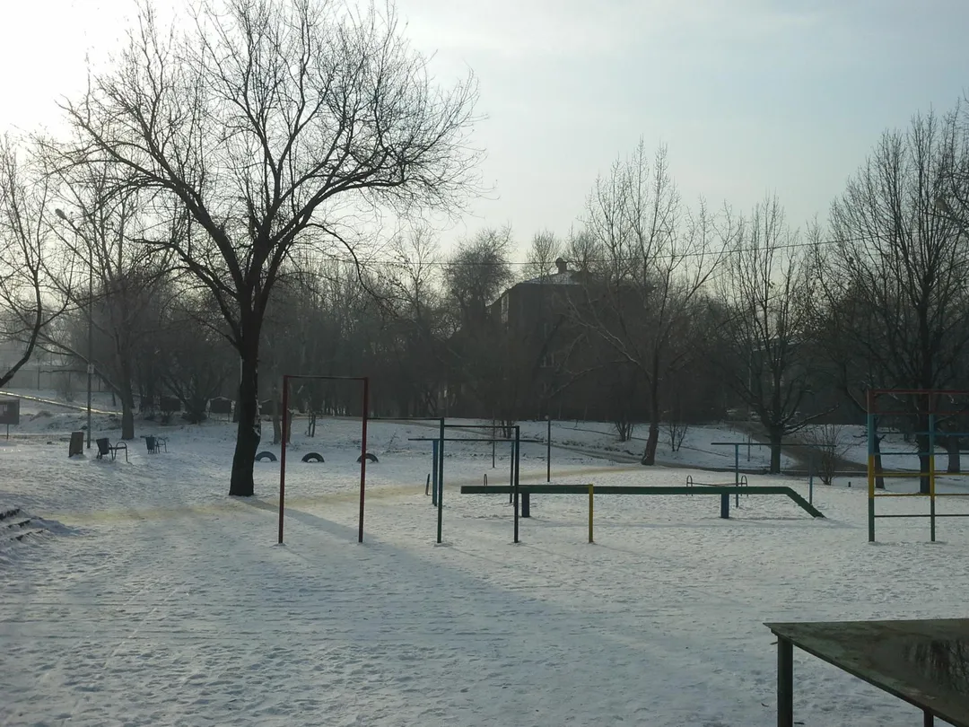 Pull Up Bar at Calisthenics Park at Қуанышбаев көшесі, Алматы – photo 5 of 12