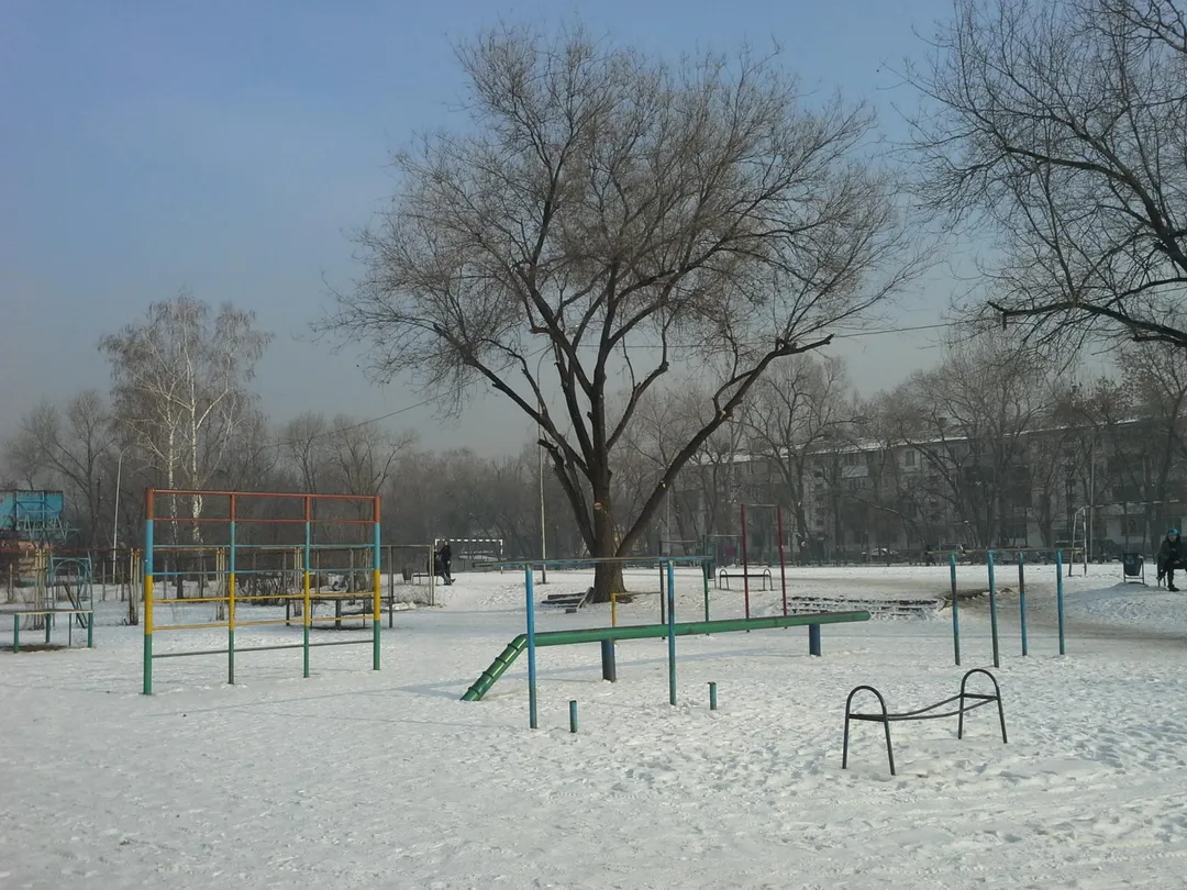Balance Beam at Calisthenics Park at Қуанышбаев көшесі, Алматы – photo 12 of 12