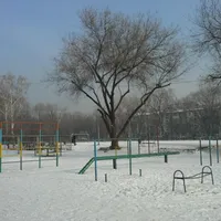 Calisthenics Park at Қуанышбаев көшесі, Алматы - thumbnail 12