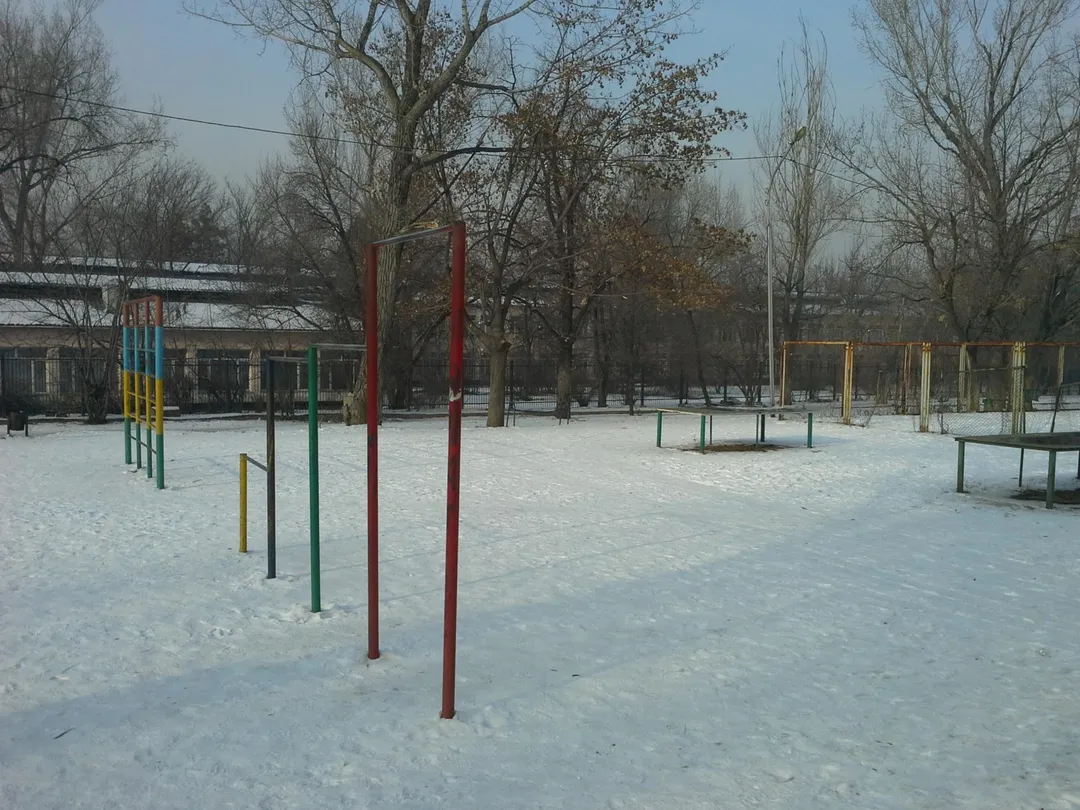 Parallel Gym Bars at Calisthenics Park at Қуанышбаев көшесі, Алматы – photo 6 of 12