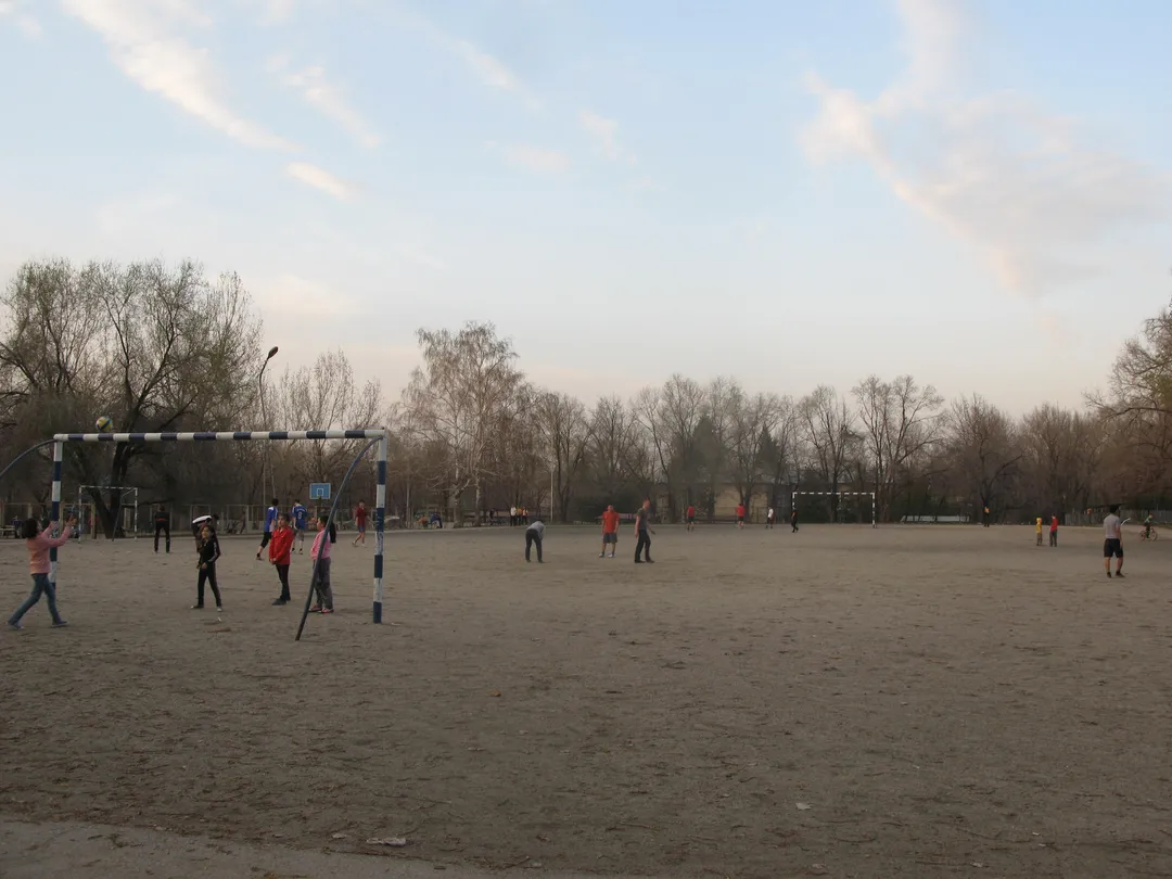 Wall Bars at Calisthenics Park at Қуанышбаев көшесі, Алматы – photo 3 of 12