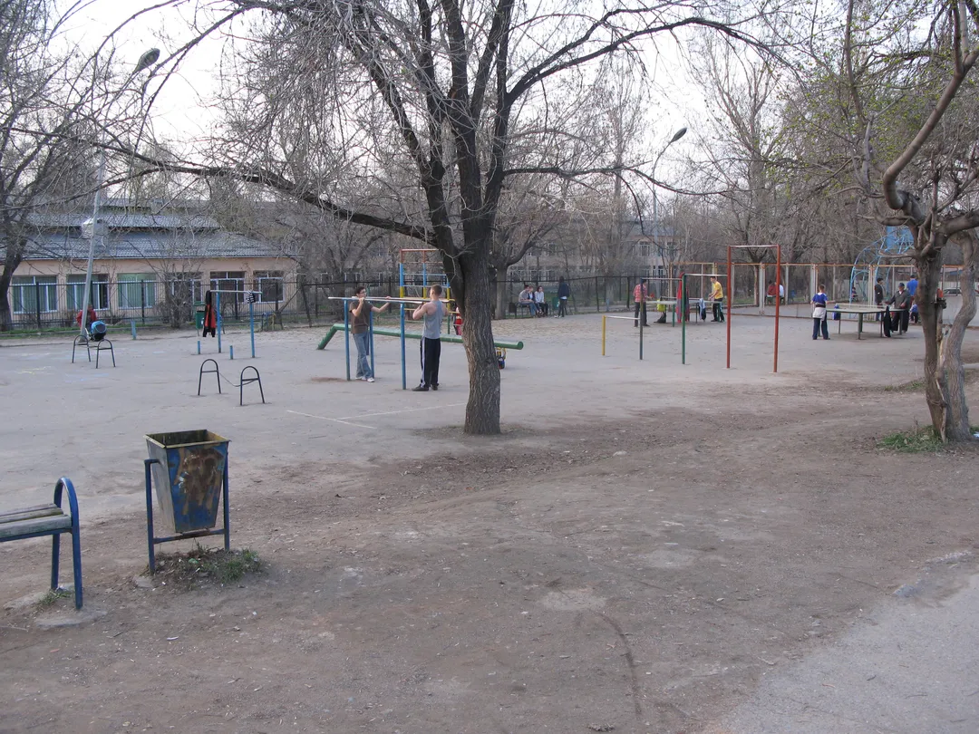 Parallel Gym Bars at Calisthenics Park at Қуанышбаев көшесі, Алматы – photo 2 of 12