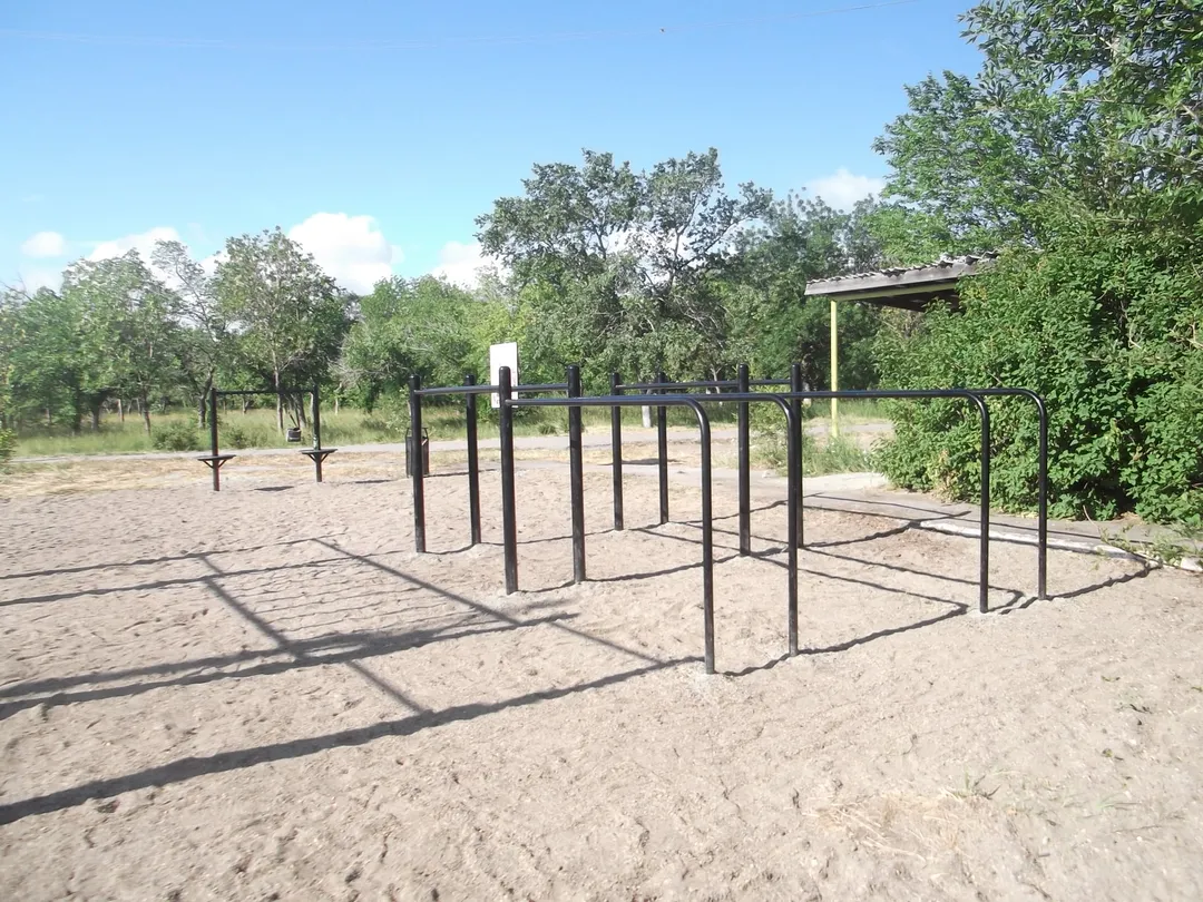 Monkey bar presso Calisthenics Park at улица Калмыкова, Карталы – foto 3 di 8