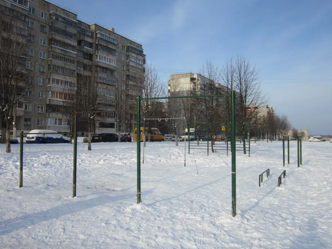 Monkey bar presso Calisthenics Park at улица Воинов-Интернационалистов, Железногорск – foto 3 di 5