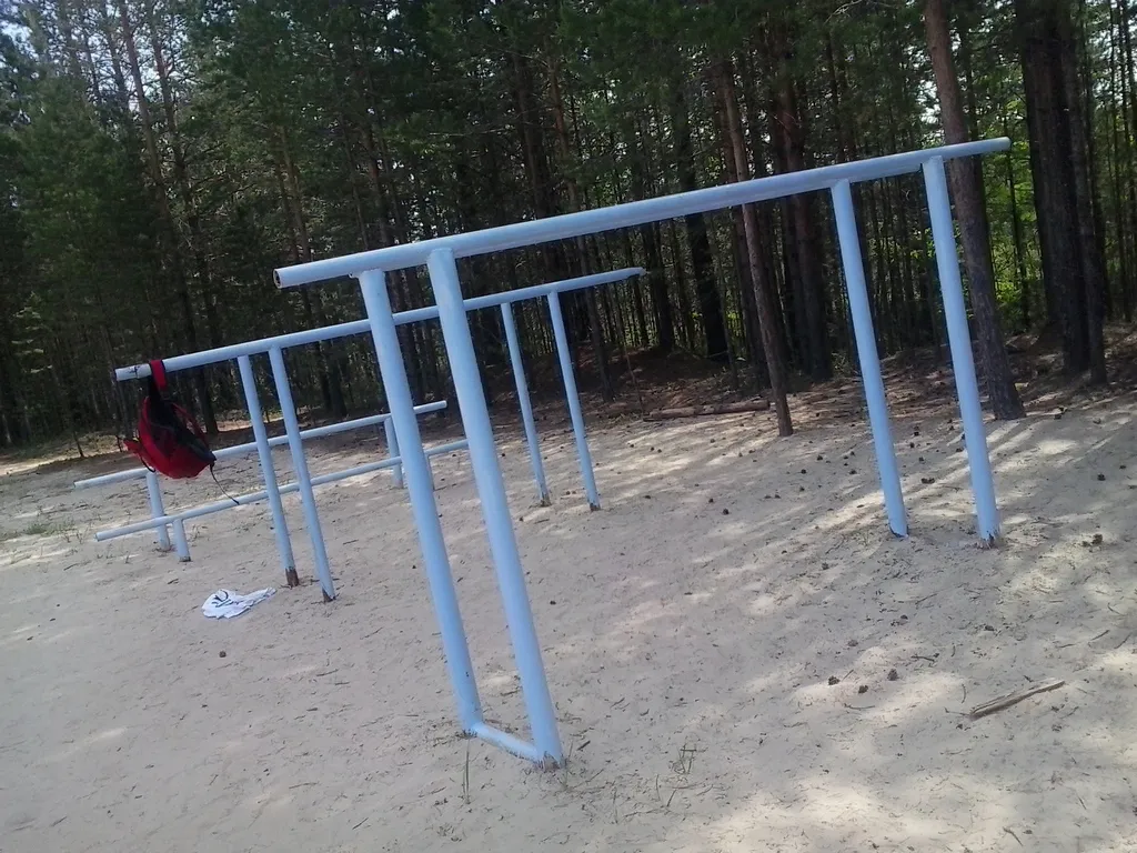 Monkey bar presso Calisthenics Park at Парковая улица, Урай – foto 3 di 8