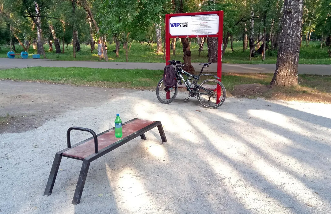 Spalier la Calisthenics Park at Алейская улица, городской округ Новосибирск – fotografia 4 din 4