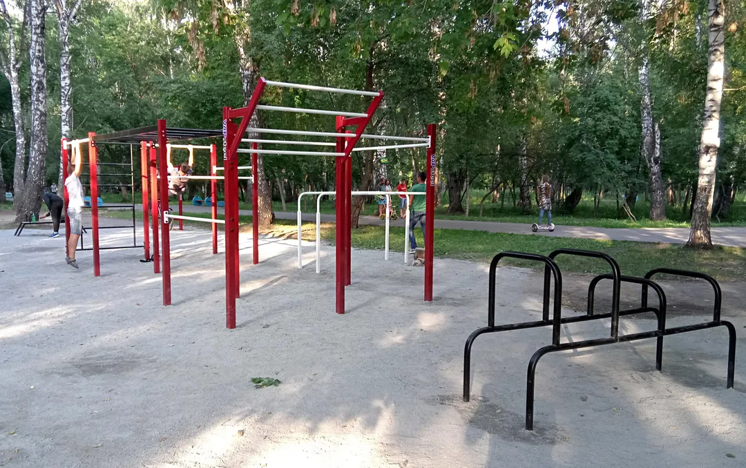 Monkey Bars la Calisthenics Park at Алейская улица, городской округ Новосибирск – fotografia 3 din 4