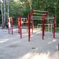 Calisthenics Park at Алейская улица, городской округ Новосибирск - thumbnail 3