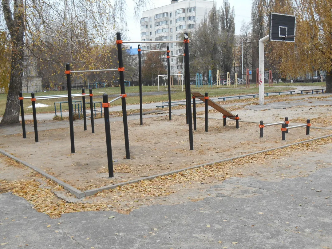 Брусья на площадке Calisthenics Park at улица Некрасова, Белгород – фото 2 из 2