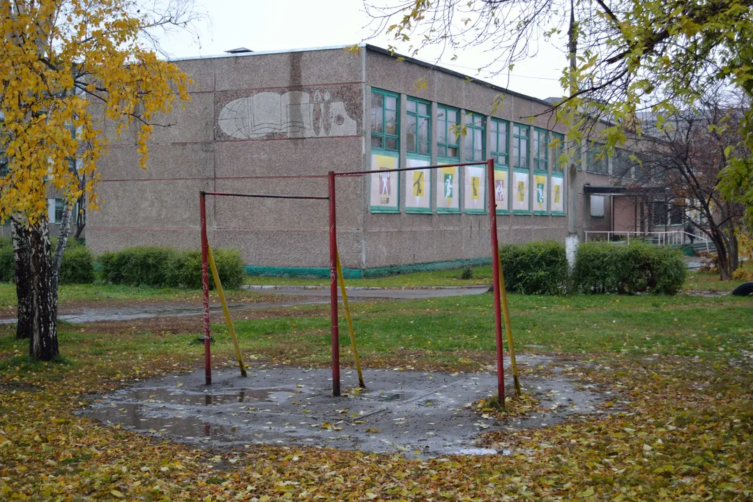 Barres de singe à Calisthenics Park at улица Петра Сухова, Барнаул – photo 3 sur 5