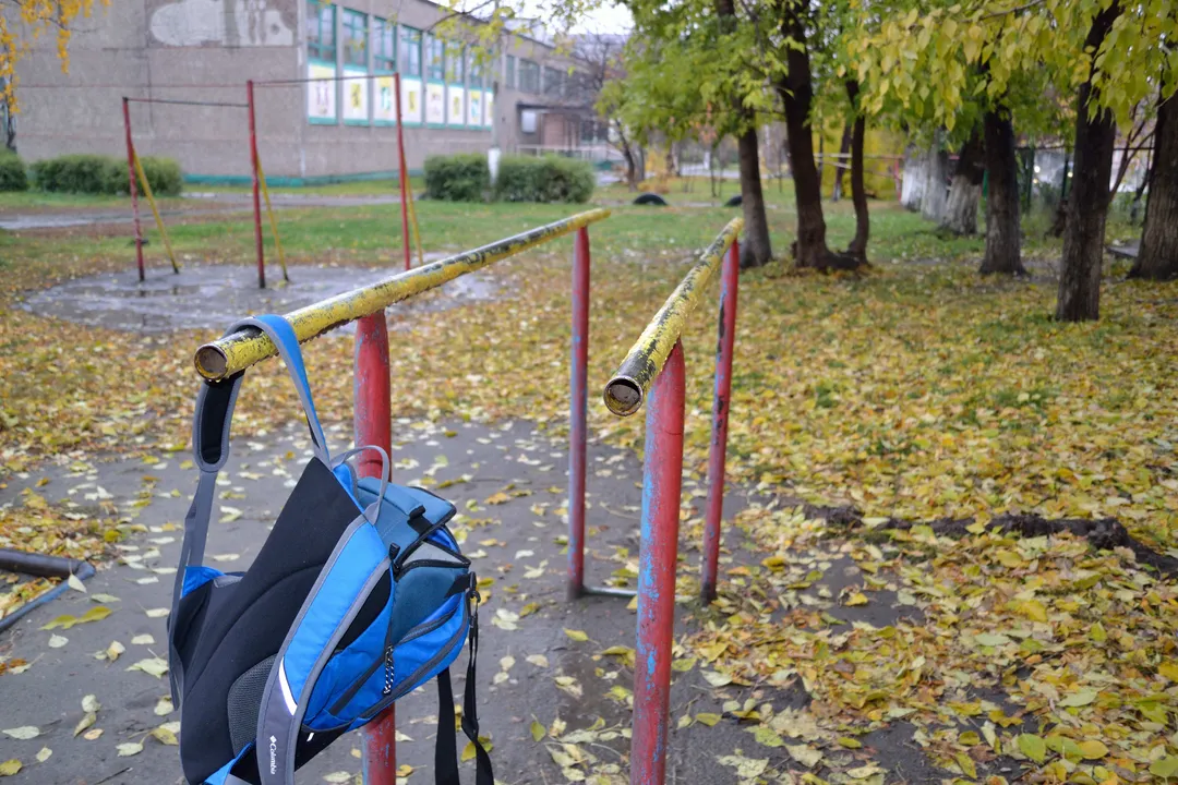 Barres parallèles à Calisthenics Park at улица Петра Сухова, Барнаул – photo 2 sur 5