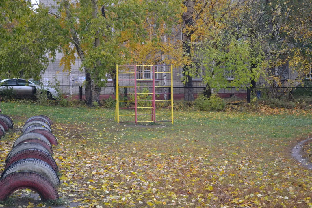 Espalier à Calisthenics Park at улица Петра Сухова, Барнаул – photo 4 sur 5
