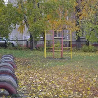 Calisthenics Park at улица Петра Сухова, Барнаул - thumbnail 4