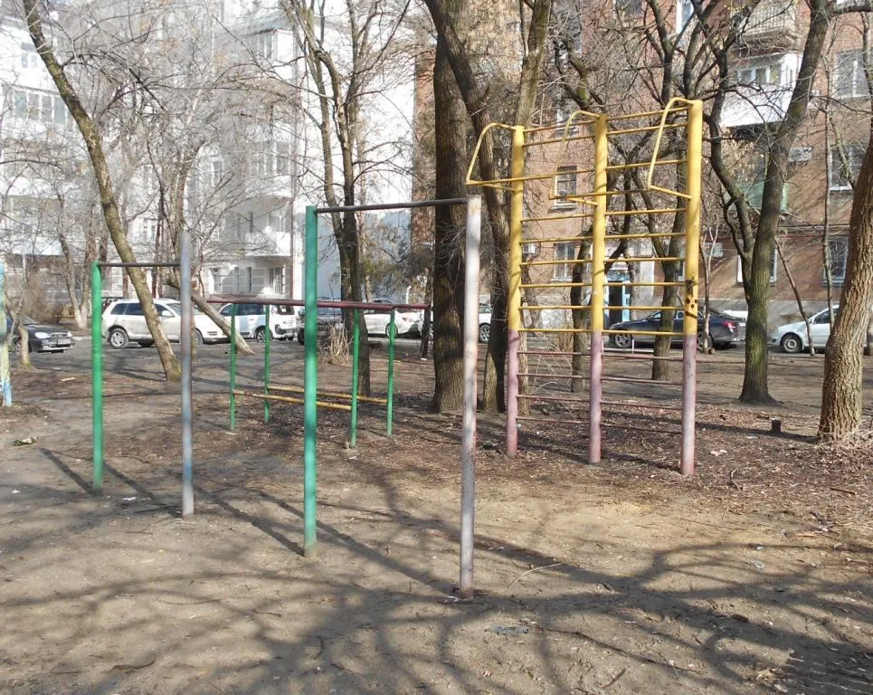 Турнік на майданчику Calisthenics Park at Будённовский проспект, Ростов-на-Дону – фото 1 з 2